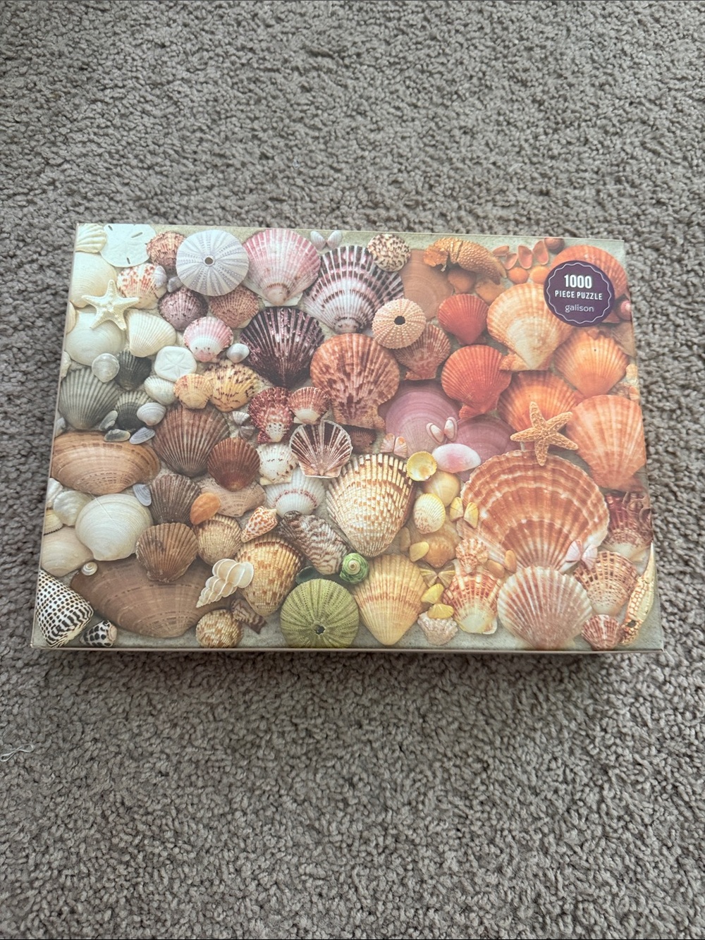 Seashell Collage 1000-Piece Puzzle - Multicolor